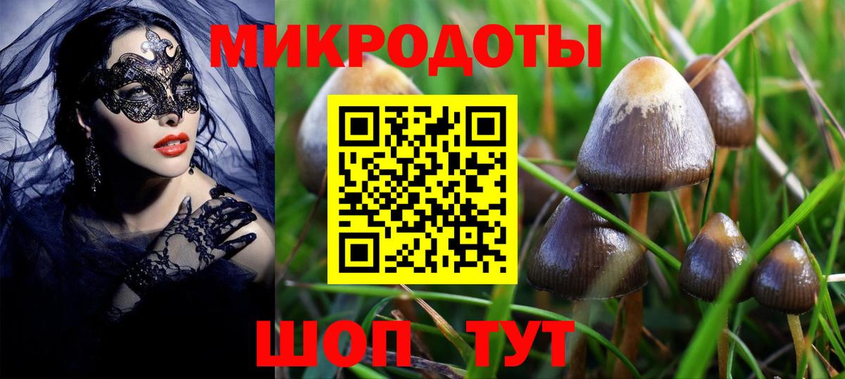 Псилоцибиновые грибы MAGIC MUSHROOMS  Псилоцибиновые грибы Cubensis  Вход с VPN  Азов 